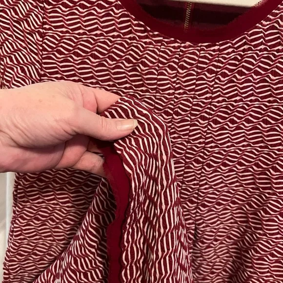 Anthropologie Maeve Maroon and Cream Textured Dress (Lined) Size XS - Picture 4 of 5